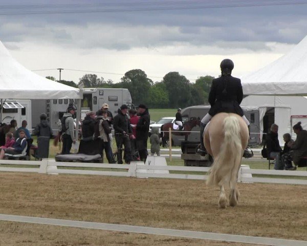 Reitturnier Horka 2024