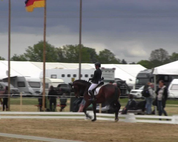 Reitturnier Horka 2024