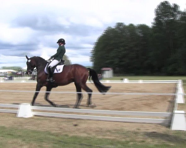 Reitturnier Horka 2024