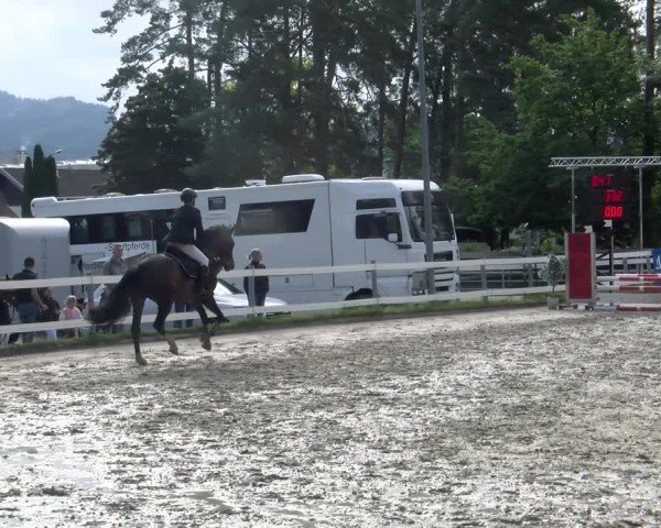 Reitturnier Stadt Bregenz 2024