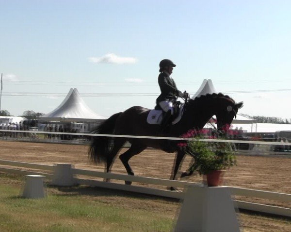 Reitturnier Horka 2024