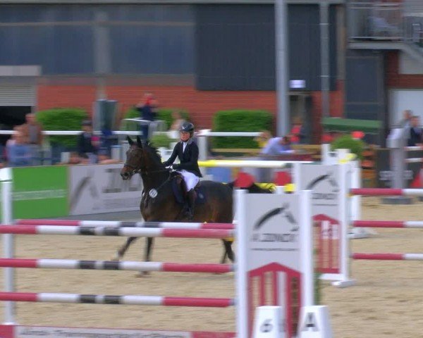 Reitturnier Borken 2024