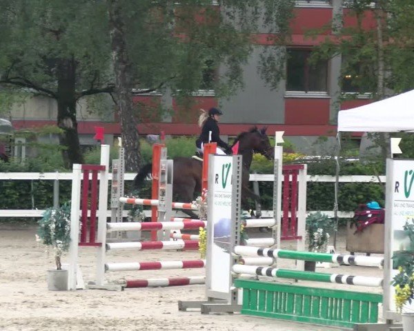Reitturnier Stadt Bregenz 2024
