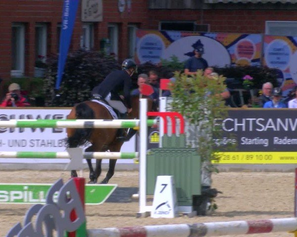 Reitturnier Borken 2024