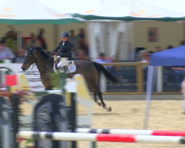 Reitturnier Borken 2024