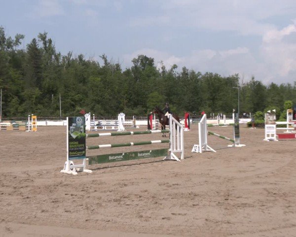 Reitturnier Frechen-Grefrath - Sonnenhof 2024
