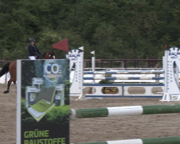 Reitturnier Frechen-Grefrath - Sonnenhof 2024