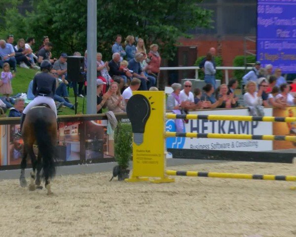 Reitturnier Borken 2024