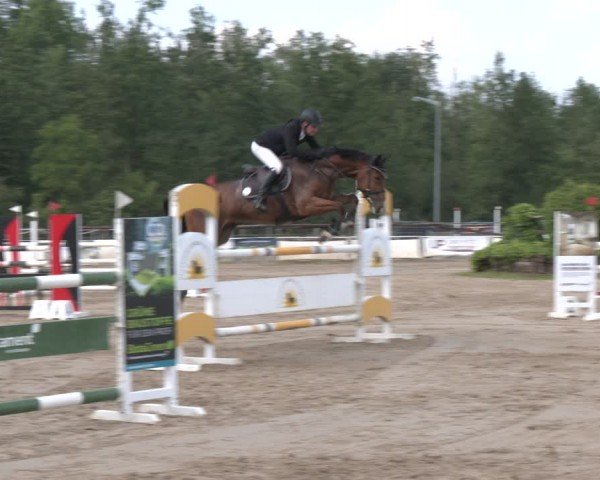 Reitturnier Frechen-Grefrath - Sonnenhof 2024