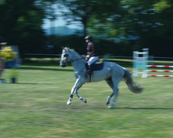 Reitturnier Wustrow 2024