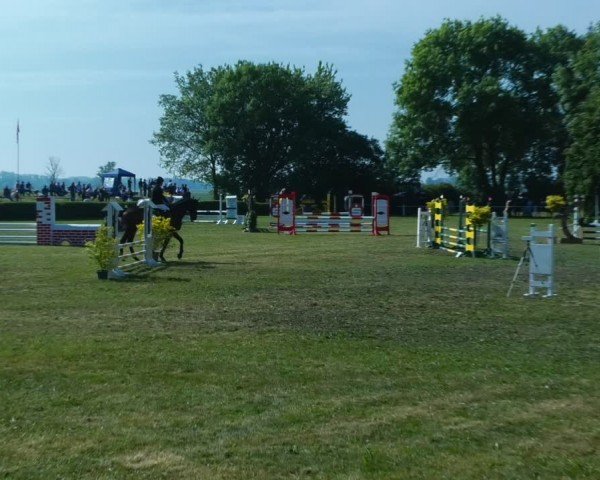 Reitturnier Wustrow 2024