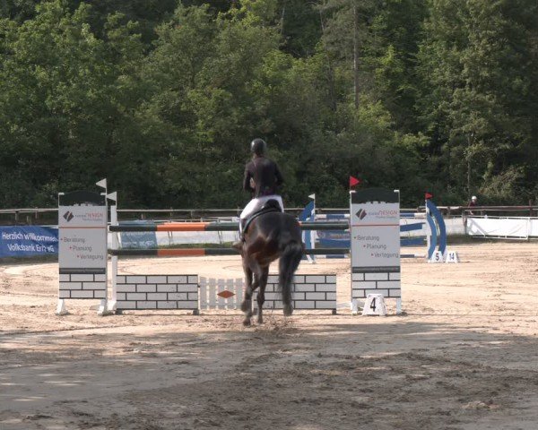 Reitturnier Frechen-Grefrath - Sonnenhof 2024