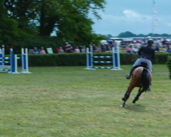 Reitturnier Wustrow 2024