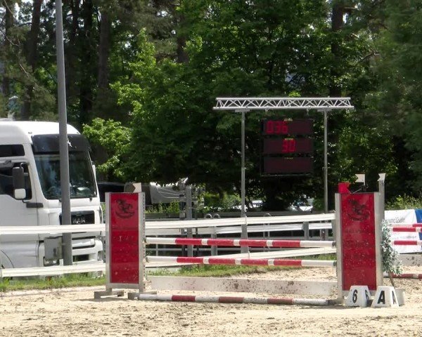 Reitturnier Stadt Bregenz 2024