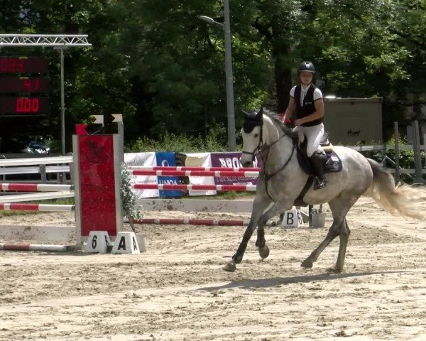 Reitturnier Stadt Bregenz 2024