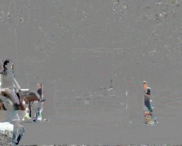 Reitturnier Stadt Bregenz 2024
