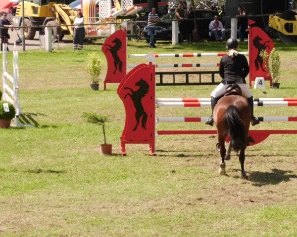 Reitturnier Forst 2024