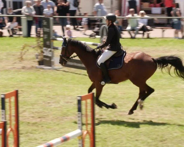 Reitturnier Forst 2024