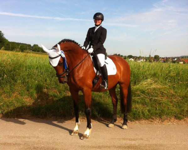 broodmare Denise (Danish Warmblood, 2001, from De Niro)