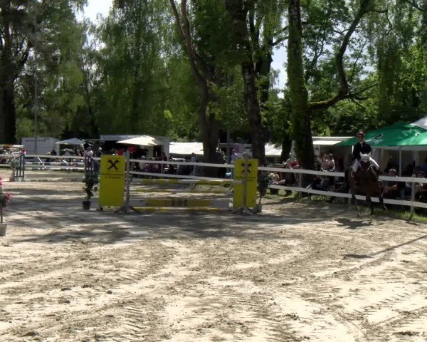 Reitturnier Stadt Bregenz 2024