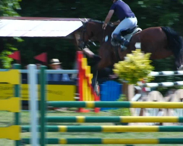 Reitturnier Wustrow 2024