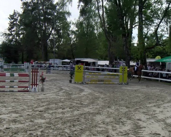Reitturnier Stadt Bregenz 2024