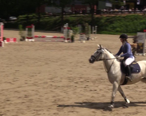 Reitturnier Iserlohn-Kalthof 2024