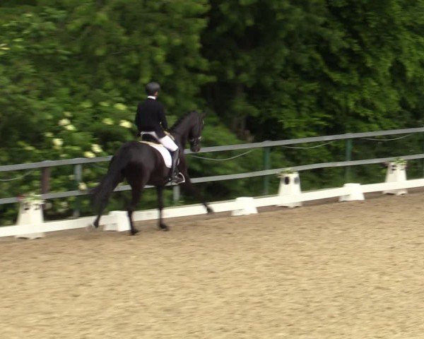 Reitturnier Iserlohn-Kalthof 2024