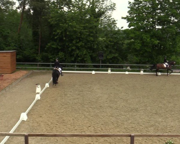 Reitturnier Iserlohn-Kalthof 2024