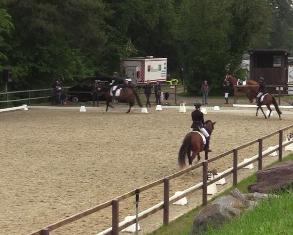 Reitturnier Iserlohn-Kalthof 2024