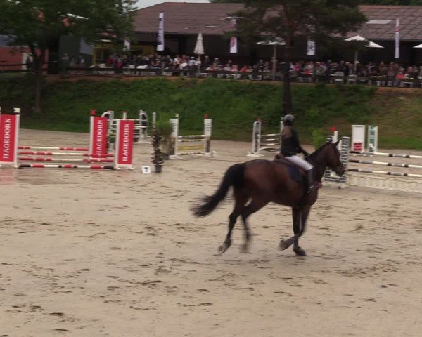 Reitturnier Iserlohn-Kalthof 2024