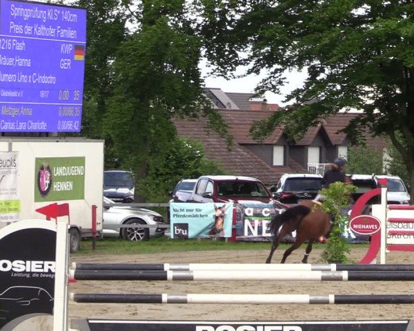 Reitturnier Iserlohn-Kalthof 2024