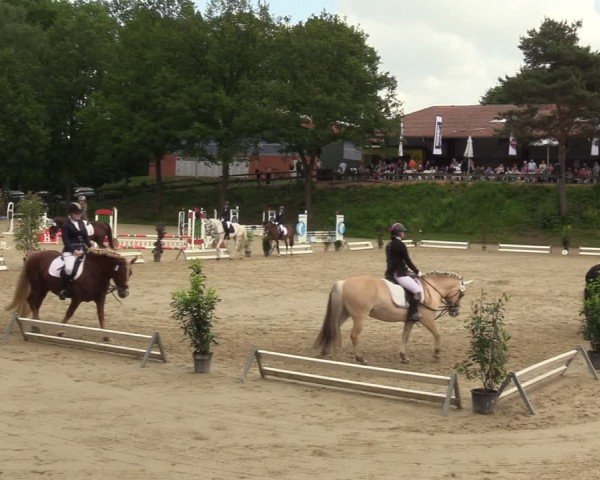 Reitturnier Iserlohn-Kalthof 2024