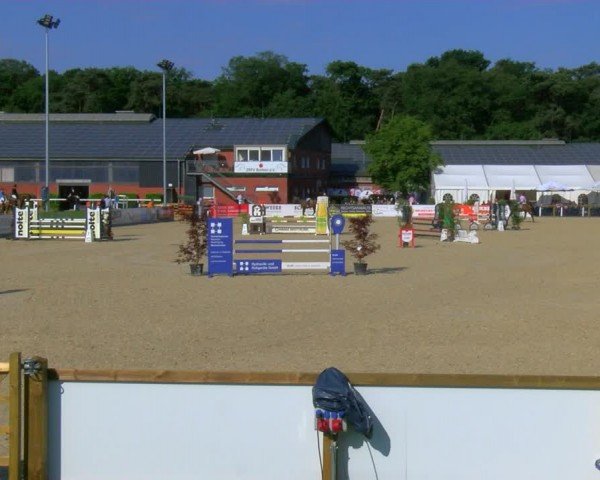 Reitturnier Borken 2024