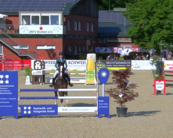 Reitturnier Borken 2024