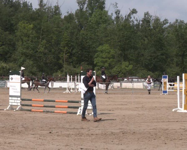 Reitturnier Frechen-Grefrath - Sonnenhof 2024