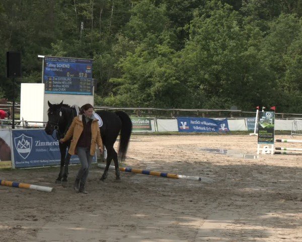 Reitturnier Frechen-Grefrath - Sonnenhof 2024