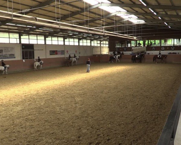 Reitturnier Leichlingen 2024