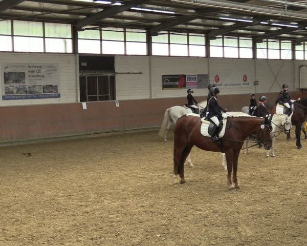 Reitturnier Leichlingen 2024