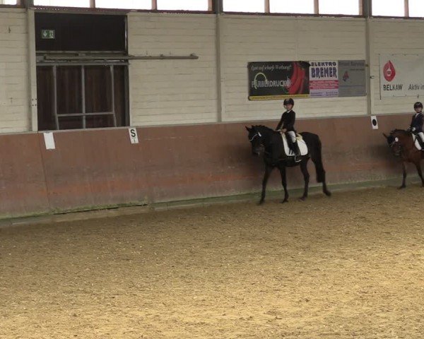 Reitturnier Leichlingen 2024