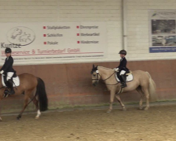 Reitturnier Leichlingen 2024