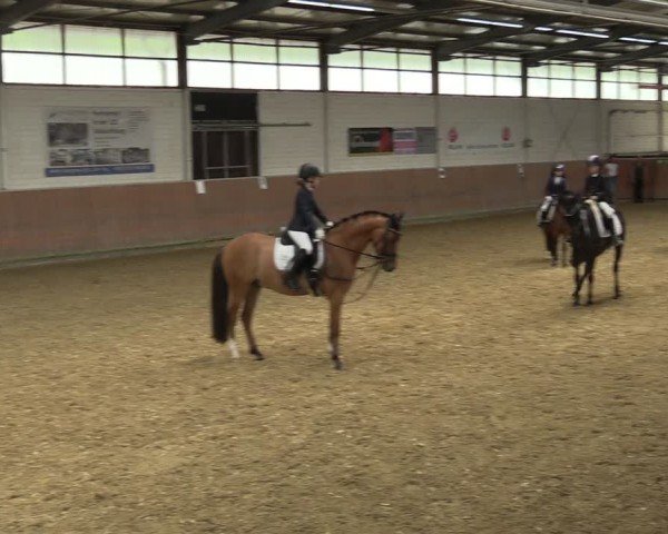 Reitturnier Leichlingen 2024