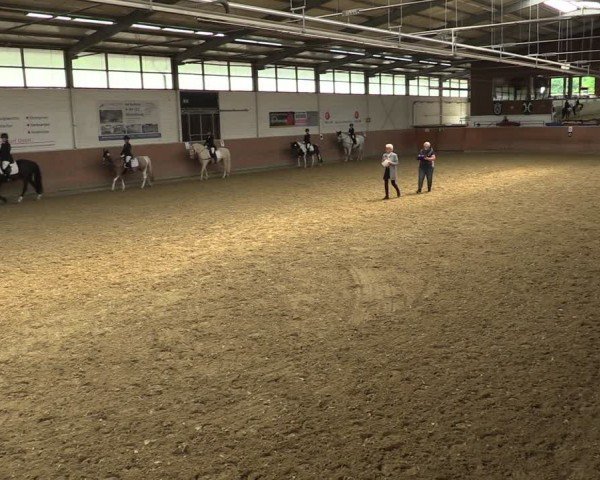 Reitturnier Leichlingen 2024