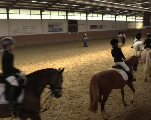 Reitturnier Leichlingen 2024