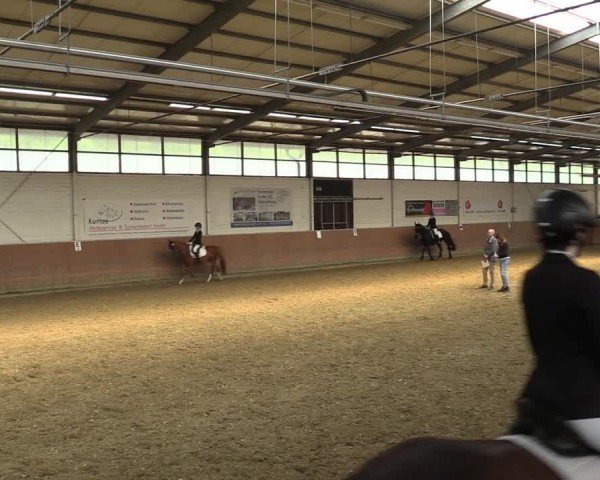 Reitturnier Leichlingen 2024