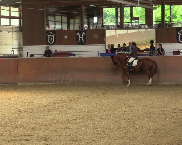 Reitturnier Leichlingen 2024
