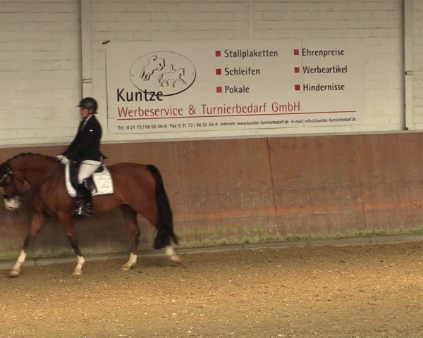 Reitturnier Leichlingen 2024