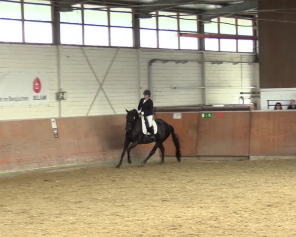 Reitturnier Leichlingen 2024