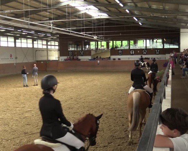 Reitturnier Leichlingen 2024