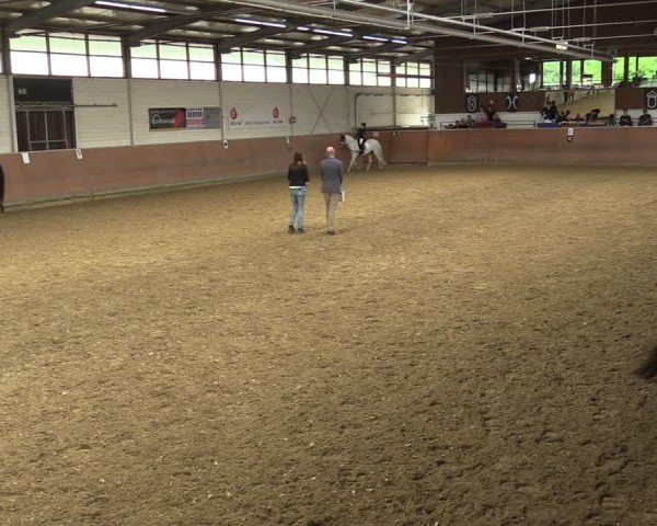 Reitturnier Leichlingen 2024
